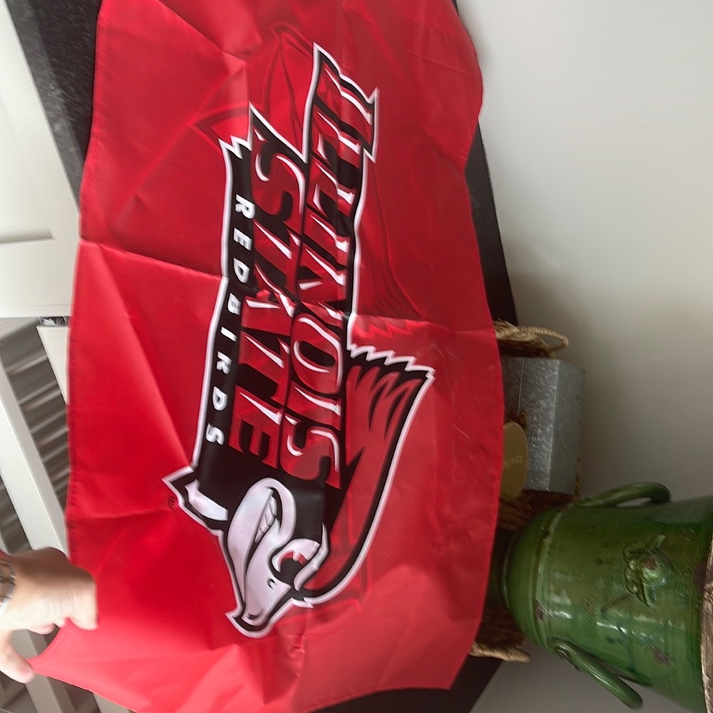 Illinois State Flag
